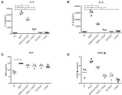 Olive Leaf Extract Attenuates Inflammatory Activation and DNA Damage in Human Arterial Endothelial Cells